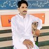 sajidabbasi2303