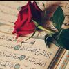 user4479080015308