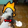 sr.fire