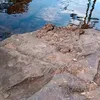 vilmarlemescorrea