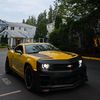 pnw_bumblebee