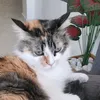 roseemma3