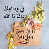 ansaam.aljabal