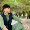 ziaulhaq_omarkhil.27