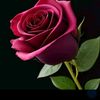 waheed19382
