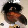skebob2288