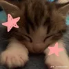 _chhhanh9