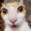 anhthuu_178