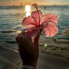 malek_rdj
