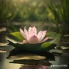 thnnjshn472
