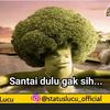 satuduatiga.02