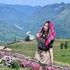 nguyenthanhhtrucne