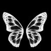 xioma8781