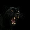 ebrahim.eladawy5
