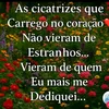 janio.silva04
