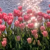 ducthinh050408
