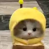 aallennnn1