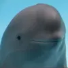 l1ght4ndy