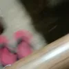 keduaakun_2