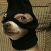 username_284_25