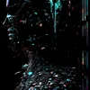 amirayub011