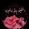 12345566gllan