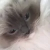 vellplayed1