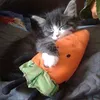 carrotspits