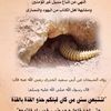 salehabbasahmat