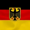 dzyt81
