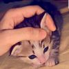 khaheesha__