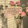 user387hadjamaryam