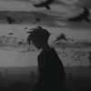 _dayler