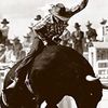 elvaquero19811981