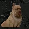 o_qqqqqq._