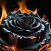 flamesonthewater