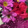 maggie_7845