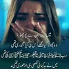 bilalahmadbilalahmad47