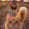 mariam_ismail65