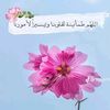 user9067944554441