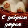 svetlian