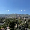 martlo20