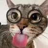 maironmj1