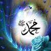 user681432003907