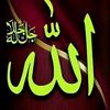 shazebsargani