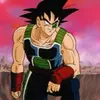 bardock480