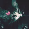 that_onegirly_youknow