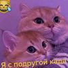 yalan.12334