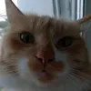 sumil_44