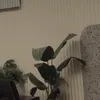 seirakel__0